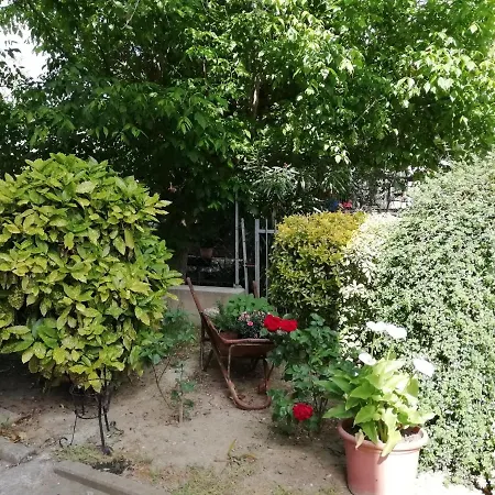 Il Canto Dei Galli Monte Colombo