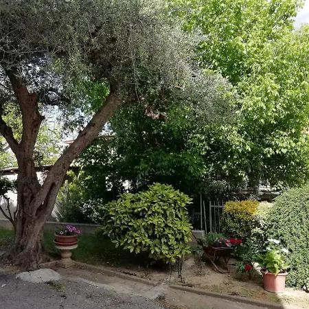 Il Canto Dei Galli Apartment