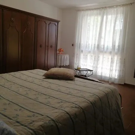 Il Canto Dei Galli