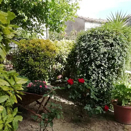 Il Canto Dei Galli Apartment