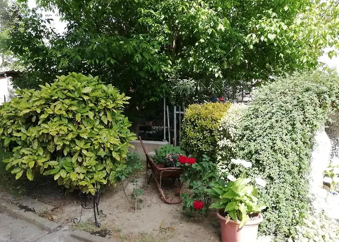 Il Canto Dei Galli Monte Colombo